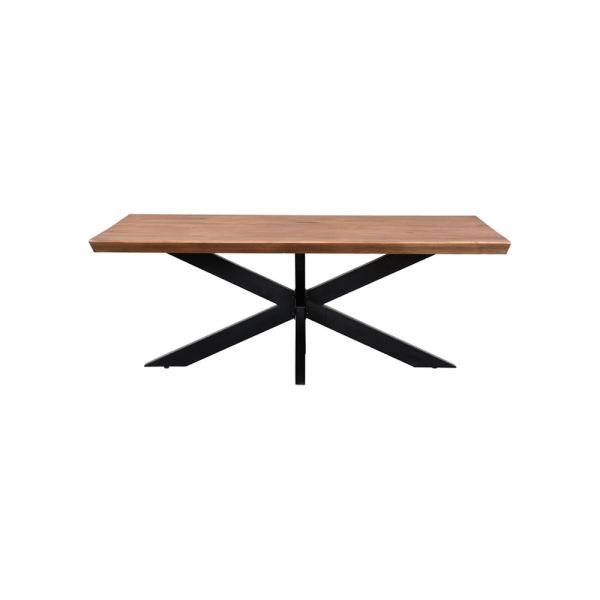 Patta Dining Table Top Only (Rect Edge) 160x90x7 cms -PMRD160NAT